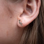 Springbok Stud Earrings