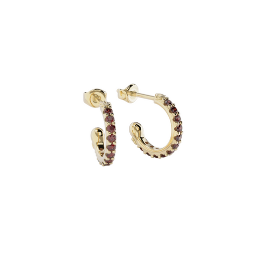 Birthstone Charm Earrings