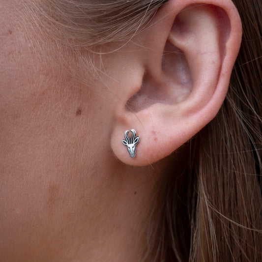 Springbok Head Stud Earrings