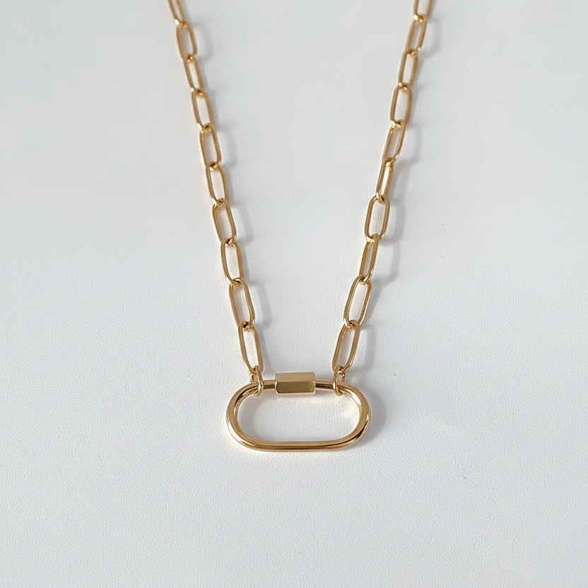 Ever Evolving Paperclip Necklace