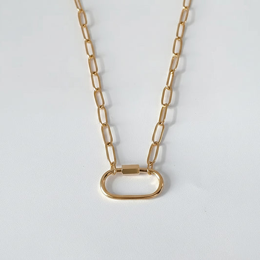 Ever Evolving Paperclip Necklace