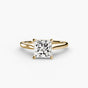 Isabelle with Moissanite - Princess