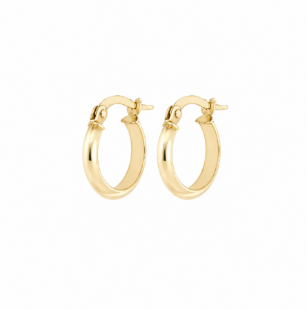 9ct Yellow Gold D-Shape Knife Edge Hoop Earrings