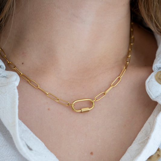 Ever Evolving Paperclip Necklace